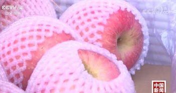 記者探秘 水果價(jià)格為何比肉貴？果市‘漲聲一片’背后真相解密